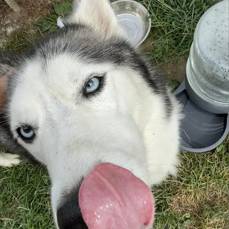 Nakita thumbnail 6