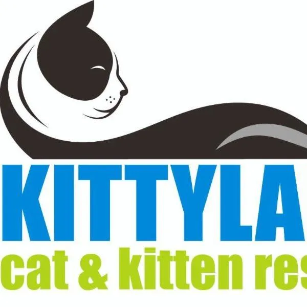 A baby small-sized female Black Domestic Short Hair cat named Austria for adoption in Desert Hot Springs, CA