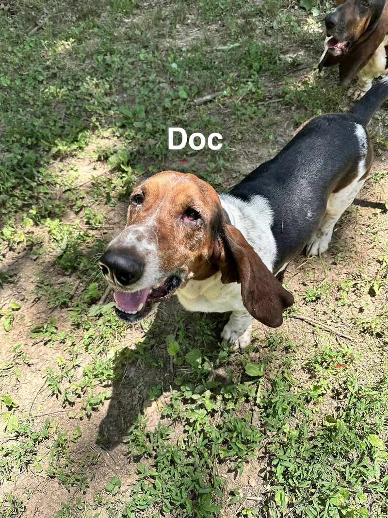 Doc thumbnail 2