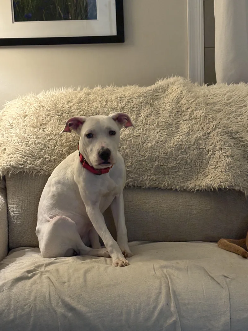 Eleanor Rigby thumbnail 2