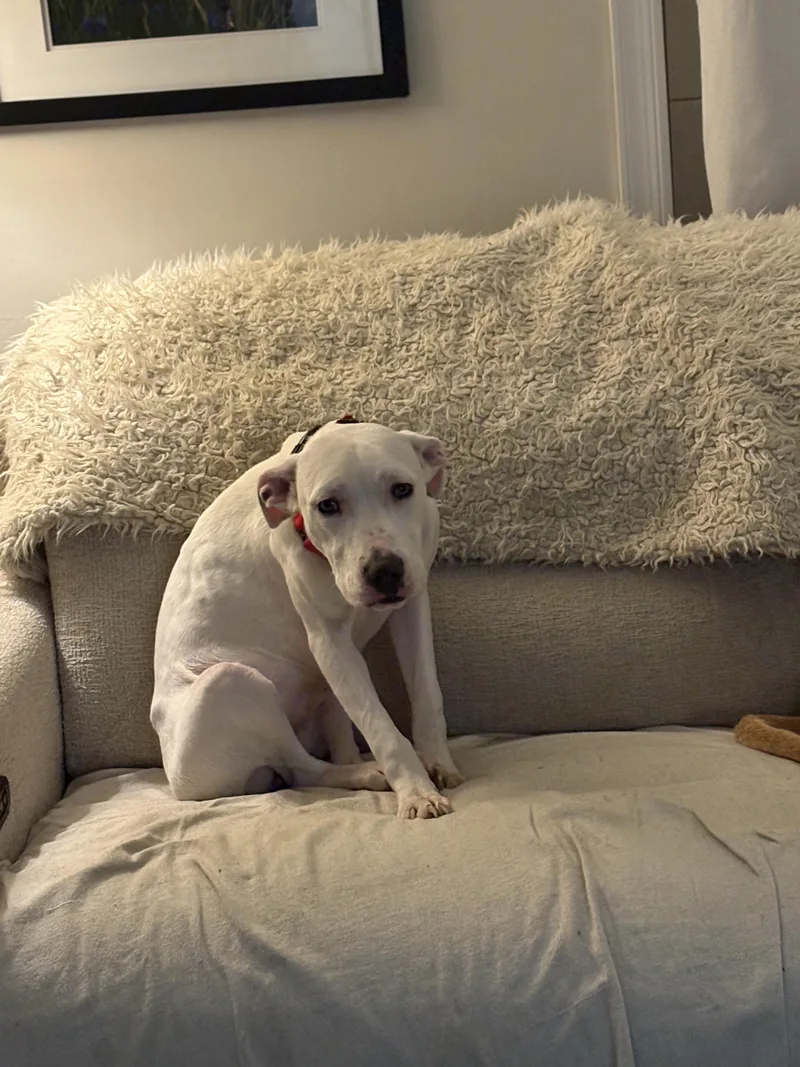 Eleanor Rigby thumbnail 3