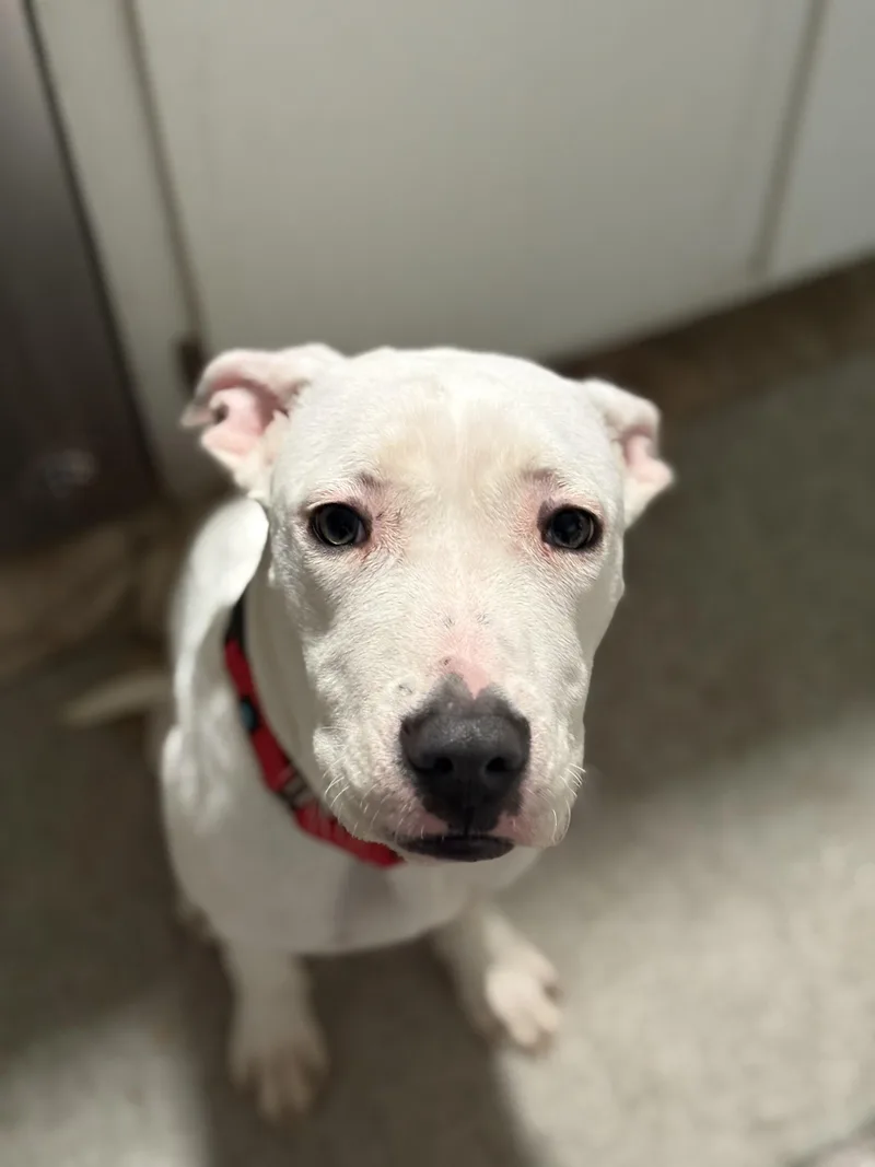 Eleanor Rigby thumbnail 4