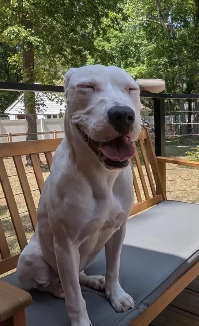 Eleanor Rigby thumbnail 5