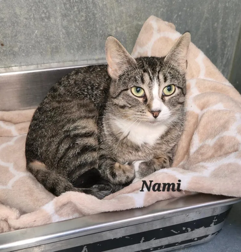 Nami