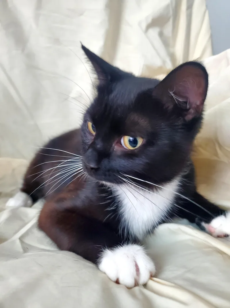 Maggie thumbnail 3
