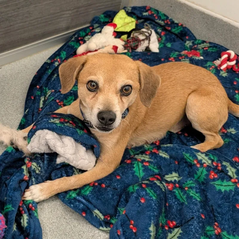 Luxciry Of Industry Location thumbnail 2