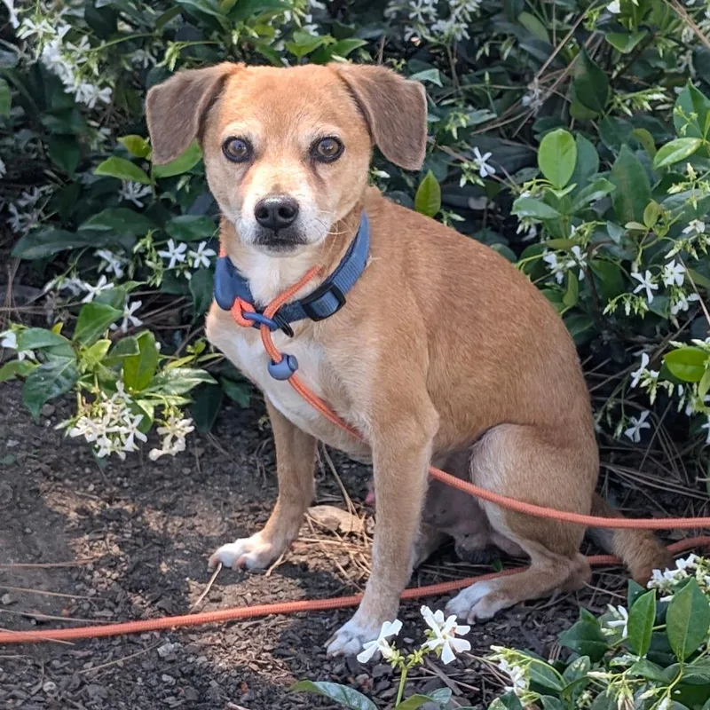 Luxciry Of Industry Location thumbnail 3