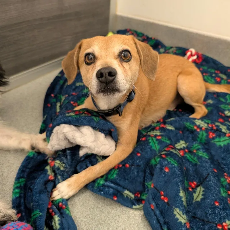 Luxciry Of Industry Location thumbnail 4