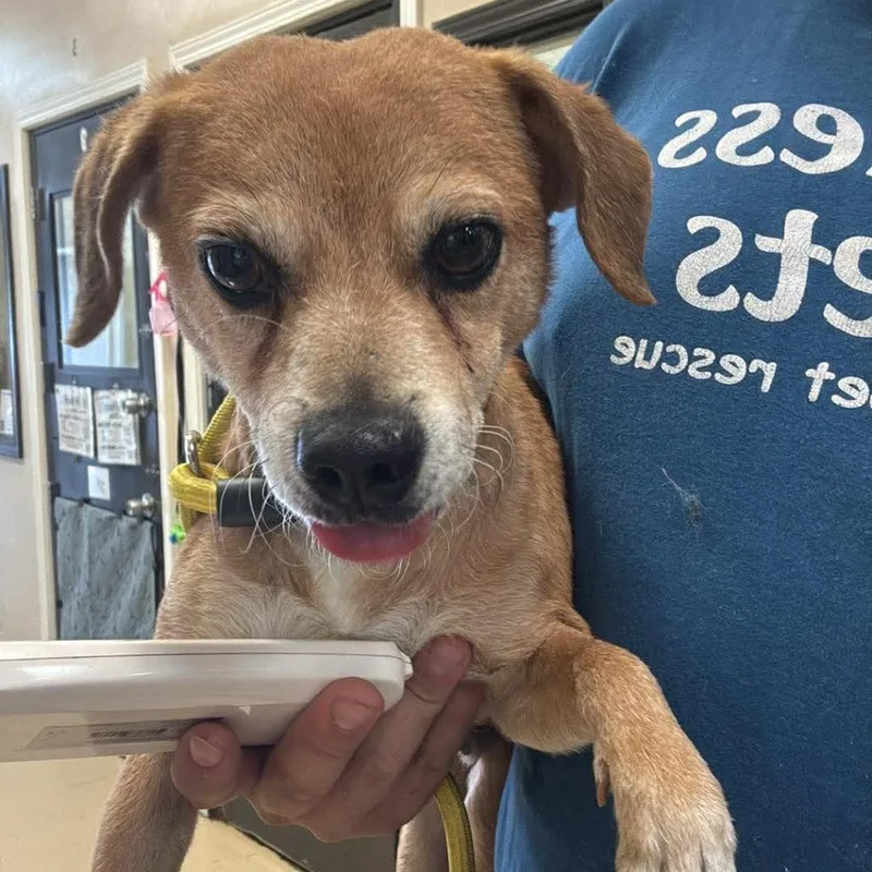 Luxciry Of Industry Location thumbnail 5