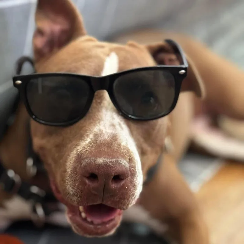 Princess Cheese Puff thumbnail 6