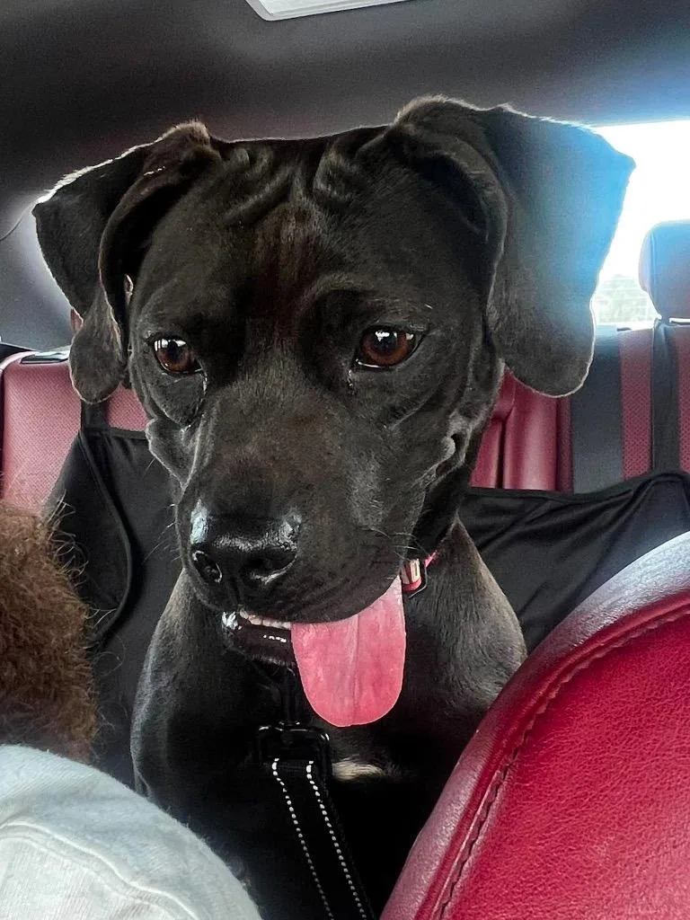 Addie Mae Lynn thumbnail 2