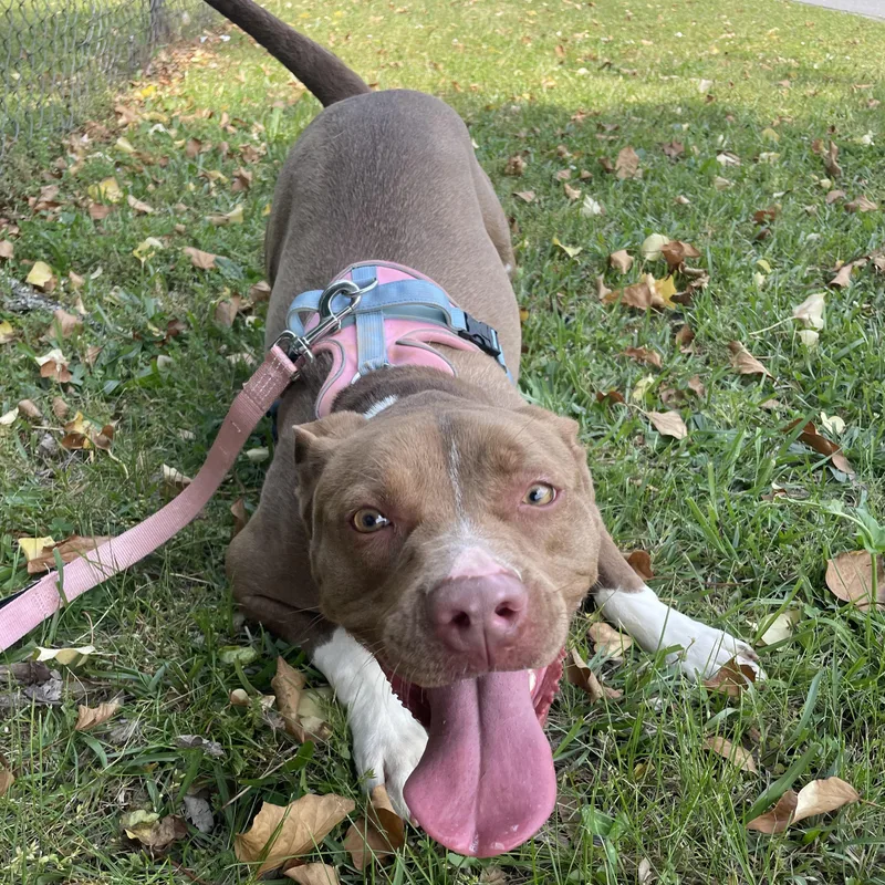 Mckenzie thumbnail 3