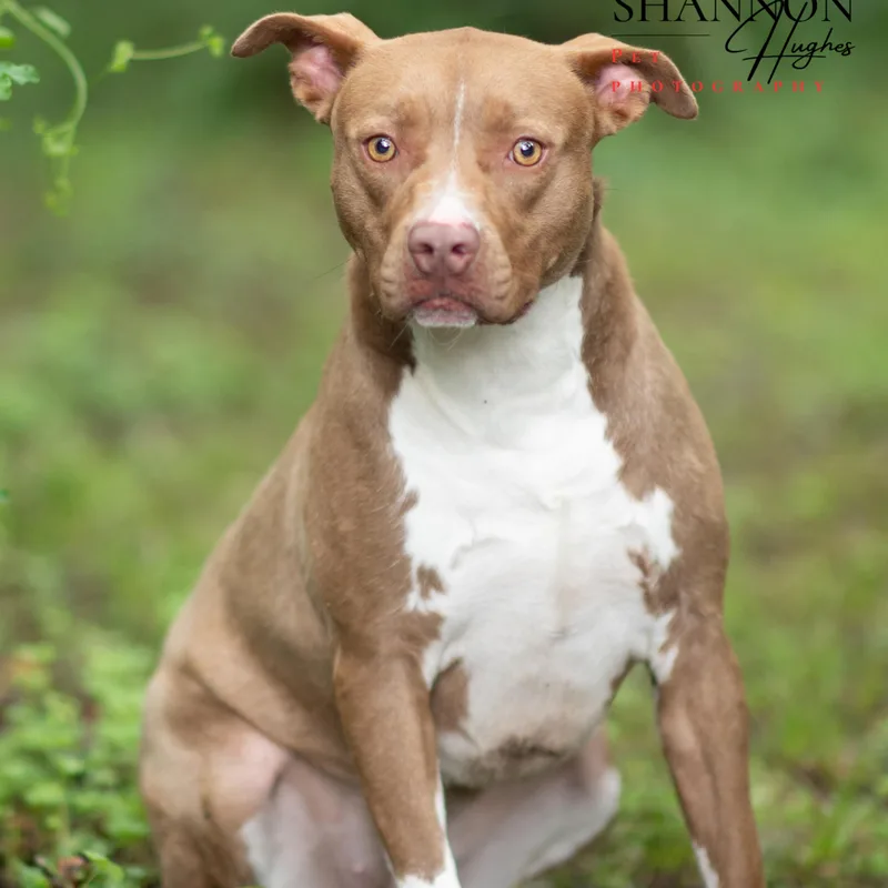 Mckenzie thumbnail 4