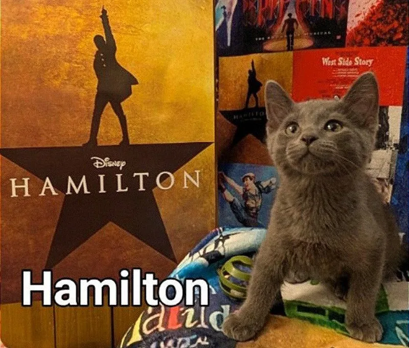 Hamilton thumbnail 2