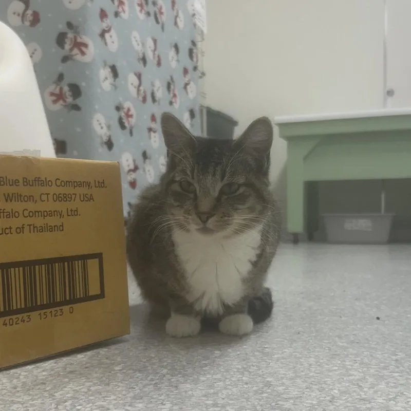 Amazon thumbnail 3