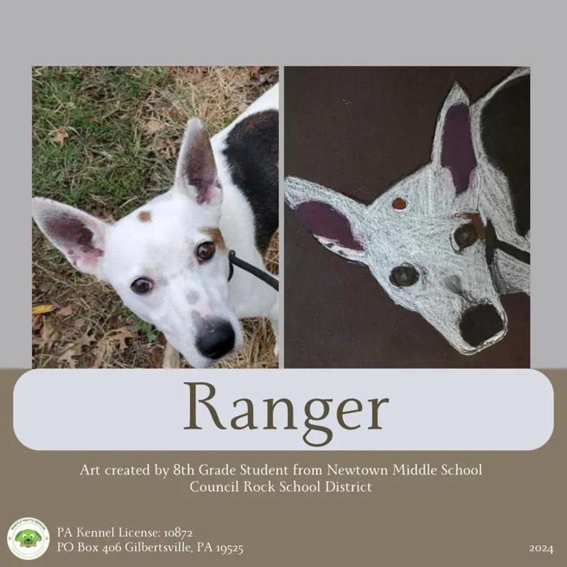 Ranger thumbnail 2