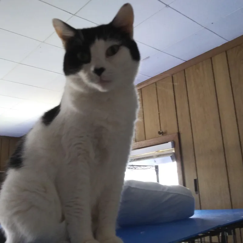Claire thumbnail 2