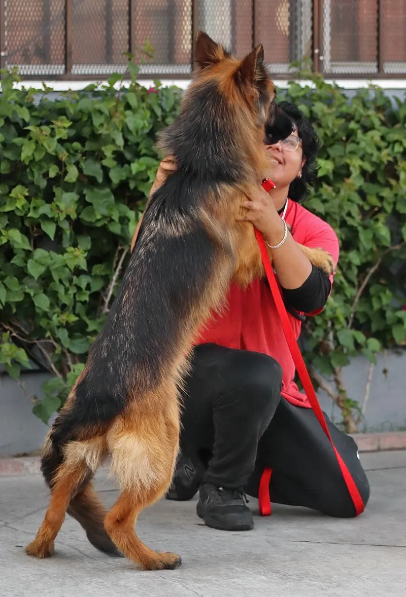 Cinnamon von Cinder thumbnail 2
