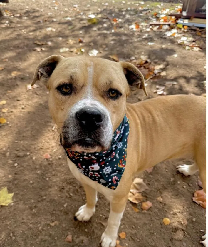 Zane : The Chill thumbnail 2