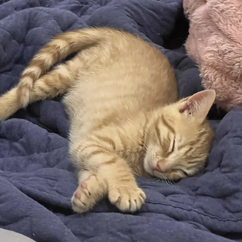 Milton