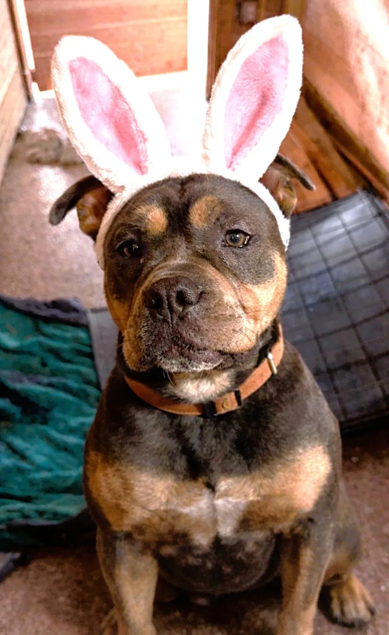 Buster Brown thumbnail 3