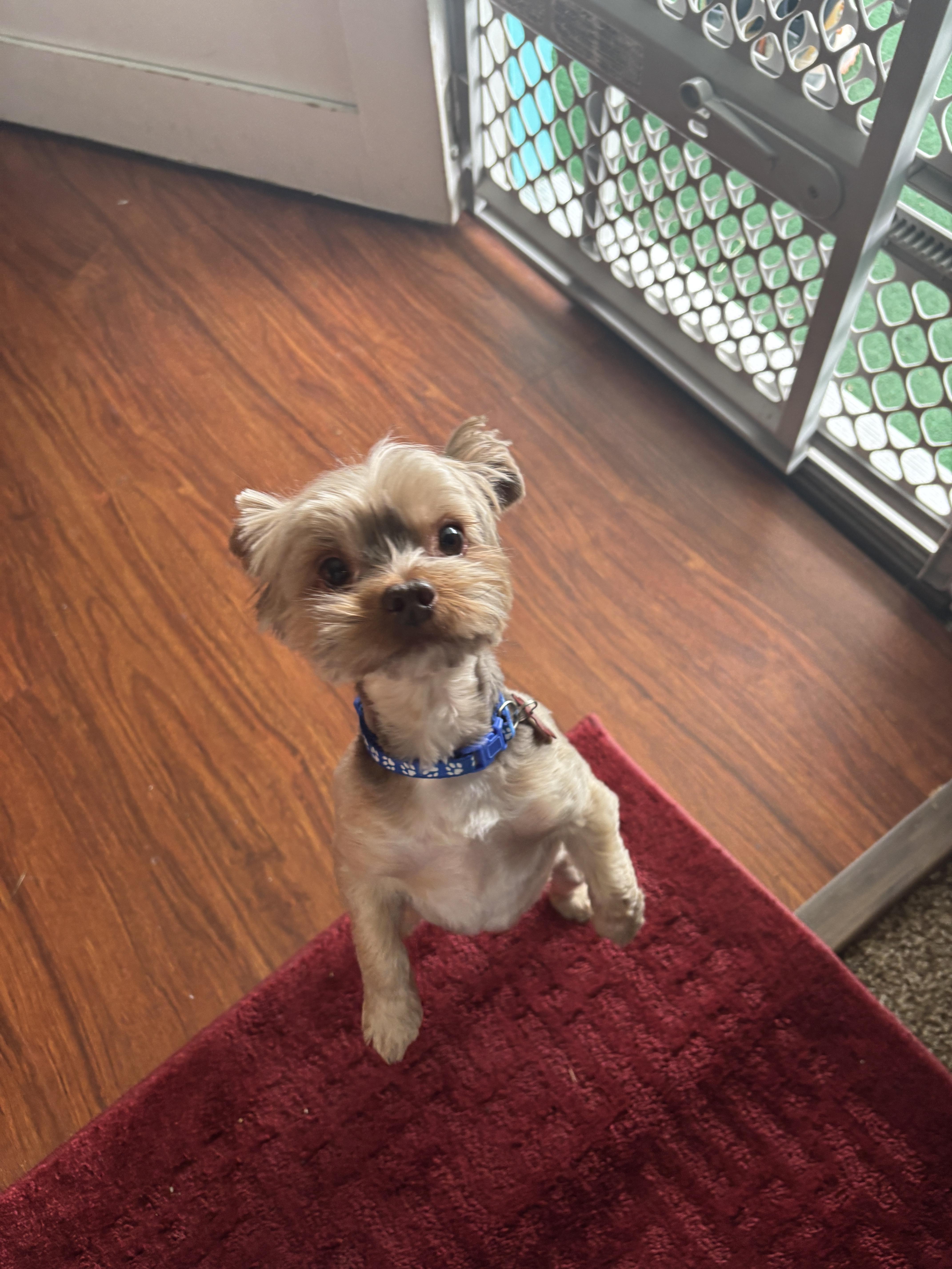Max