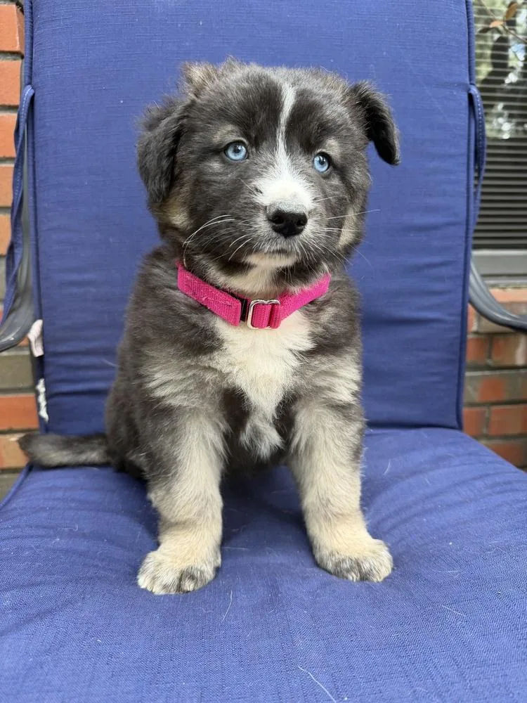 Billie Eilish thumbnail 2