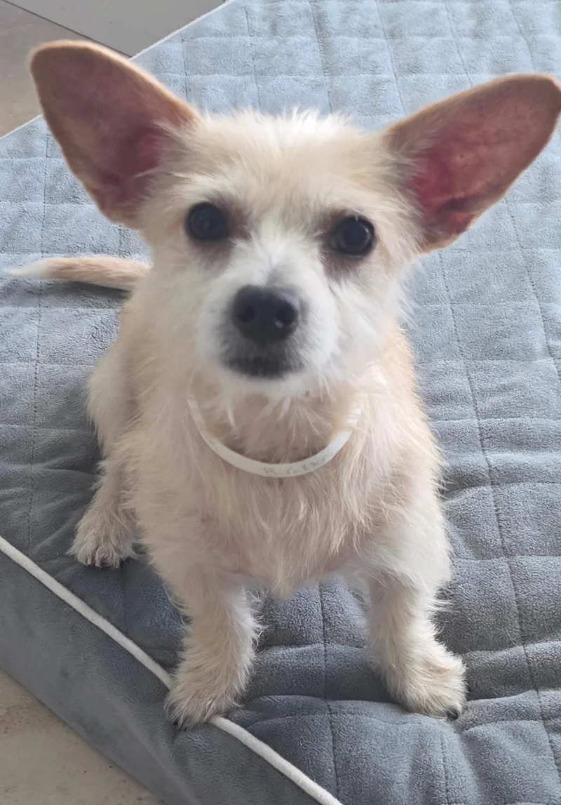 Chloe