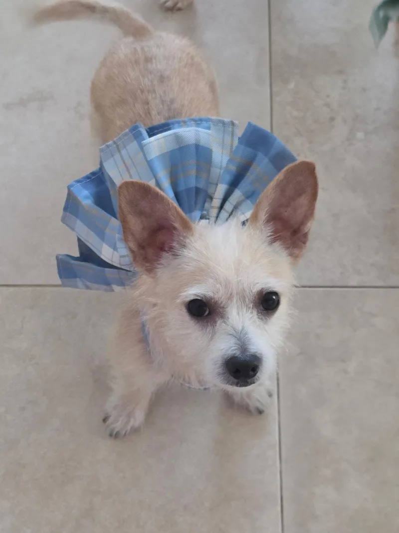 Chloe thumbnail 2