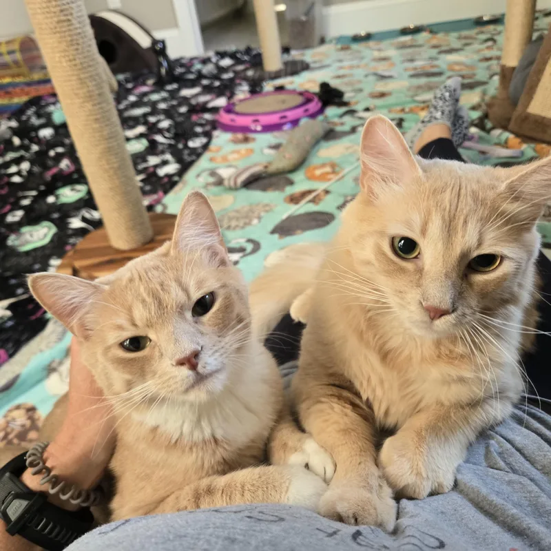 Ted & Truman thumbnail 2