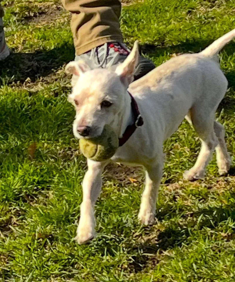 Coco Miranda thumbnail 3