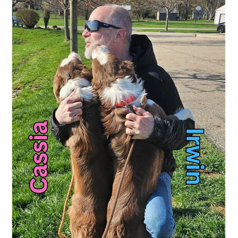 Irwin thumbnail 2