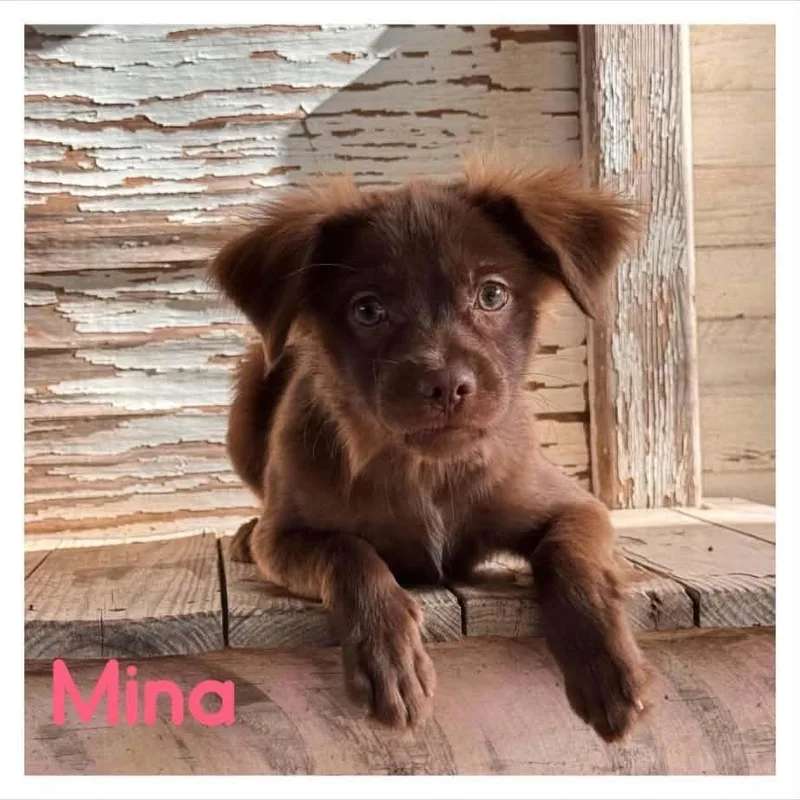 Mina thumbnail 2