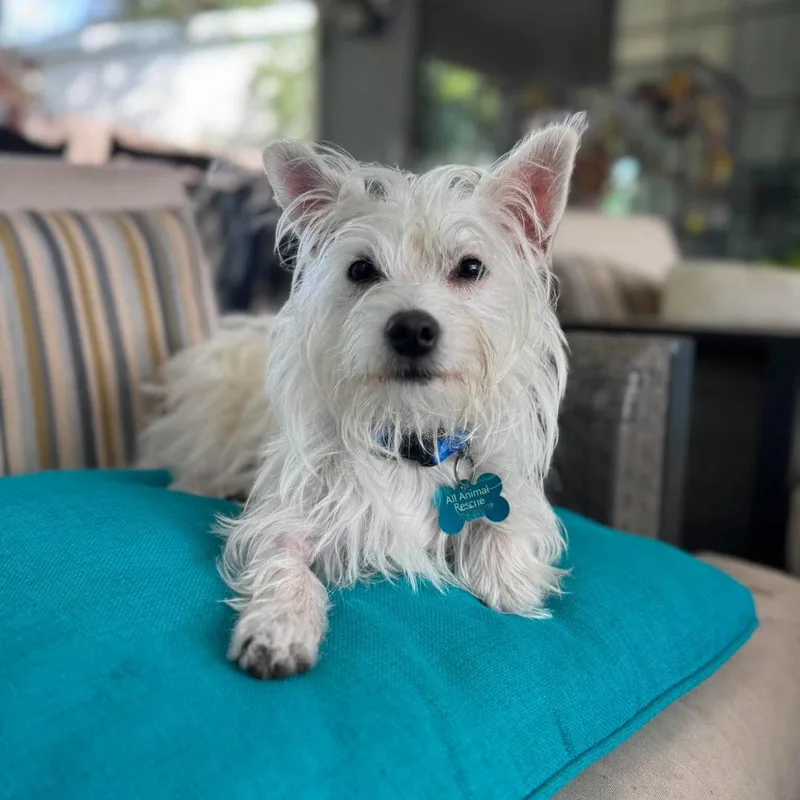 Benny