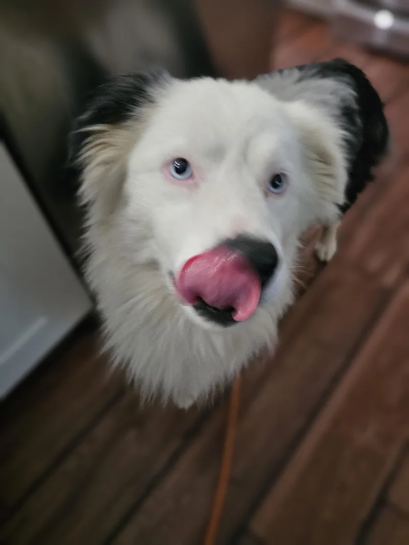 Loki So Il thumbnail 3