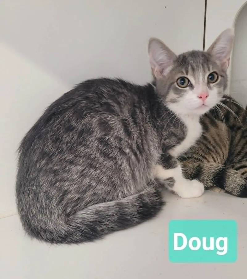 Doug thumbnail 2