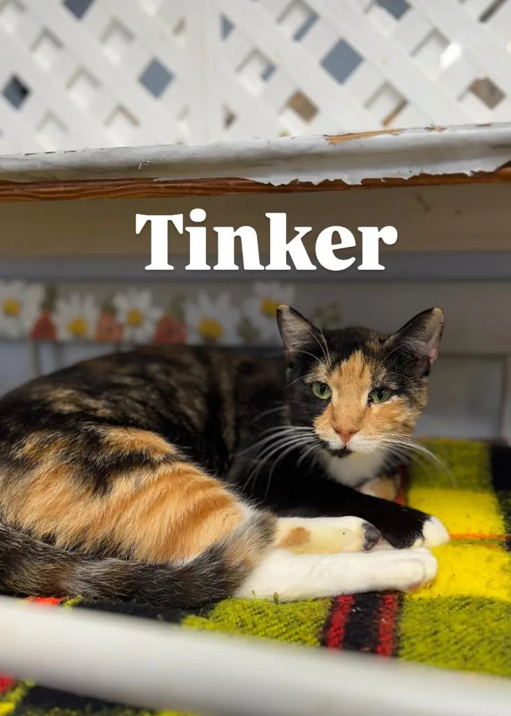Tinker