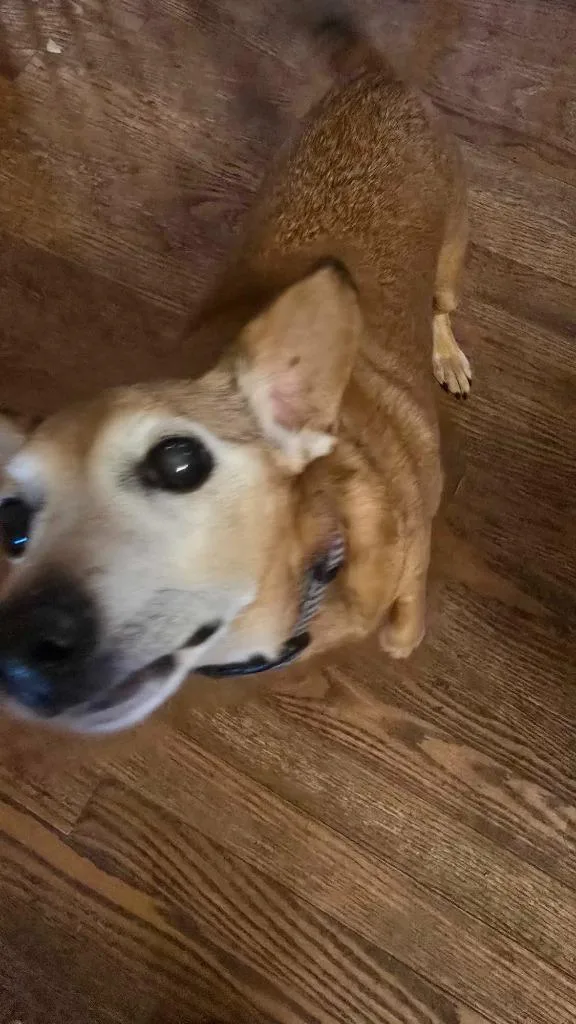 Vida Boheme thumbnail 4