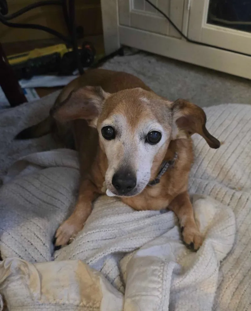 Vida Boheme thumbnail 5