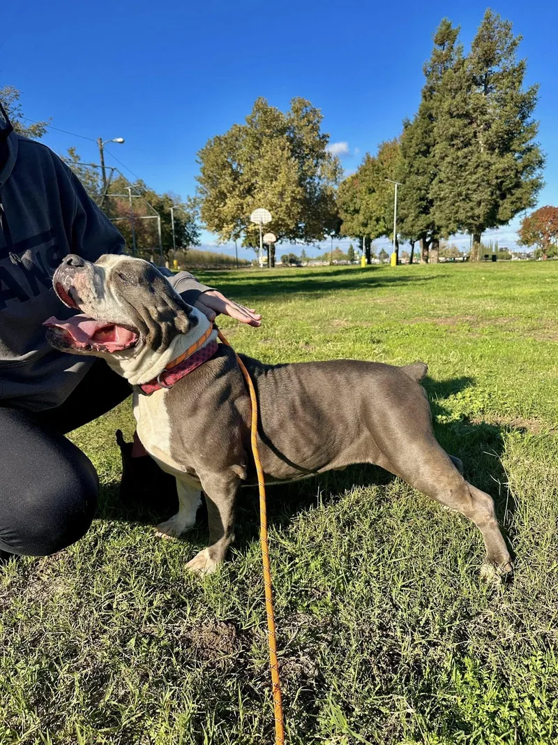 Big Tank thumbnail 3