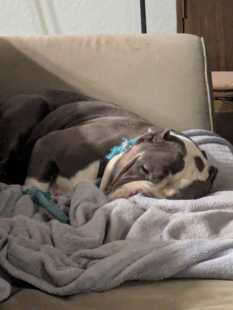 Big Tank thumbnail 6