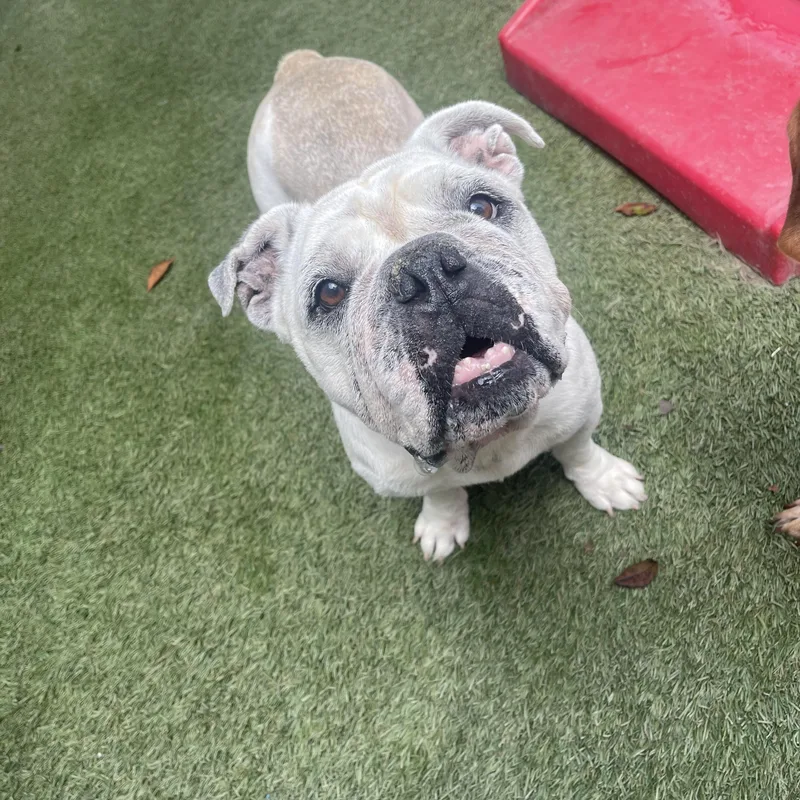 Lola thumbnail 2