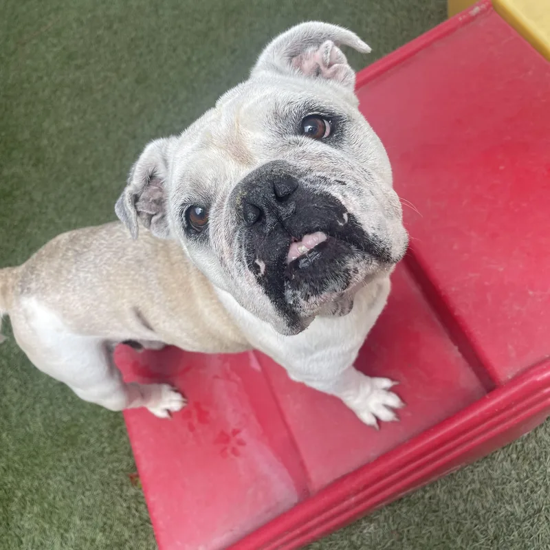 Lola thumbnail 5