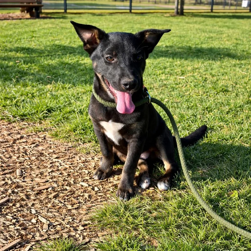 Romy – The Cutest thumbnail 3