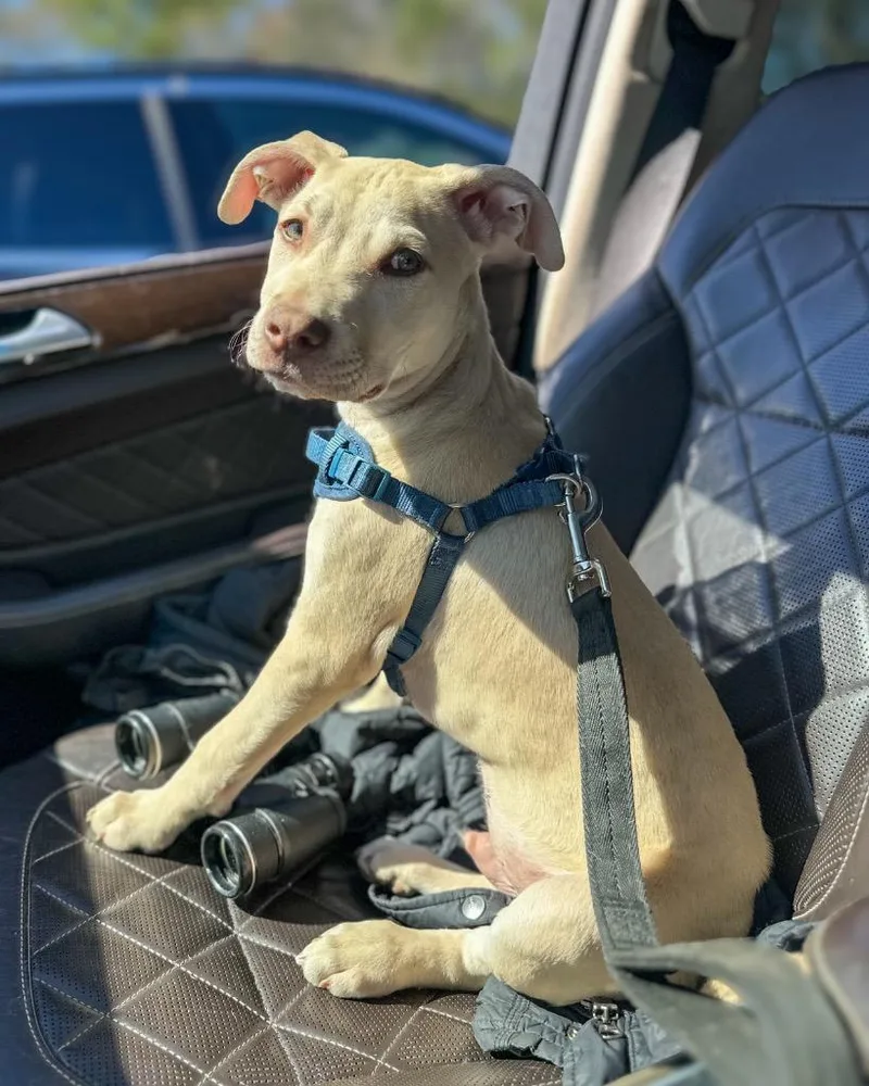 Brett B Baby  thumbnail 2