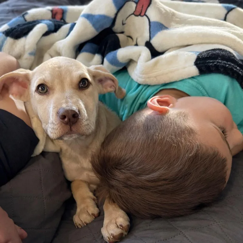 Brett B Baby  thumbnail 4