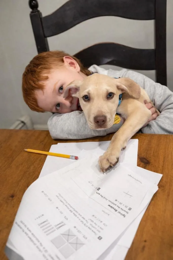 Brett B Baby  thumbnail 5