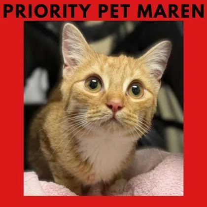 Maren `a Priority Pet`