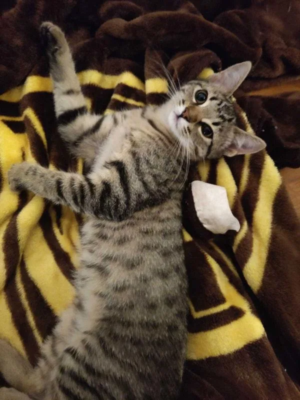 Sassy Girl thumbnail 2