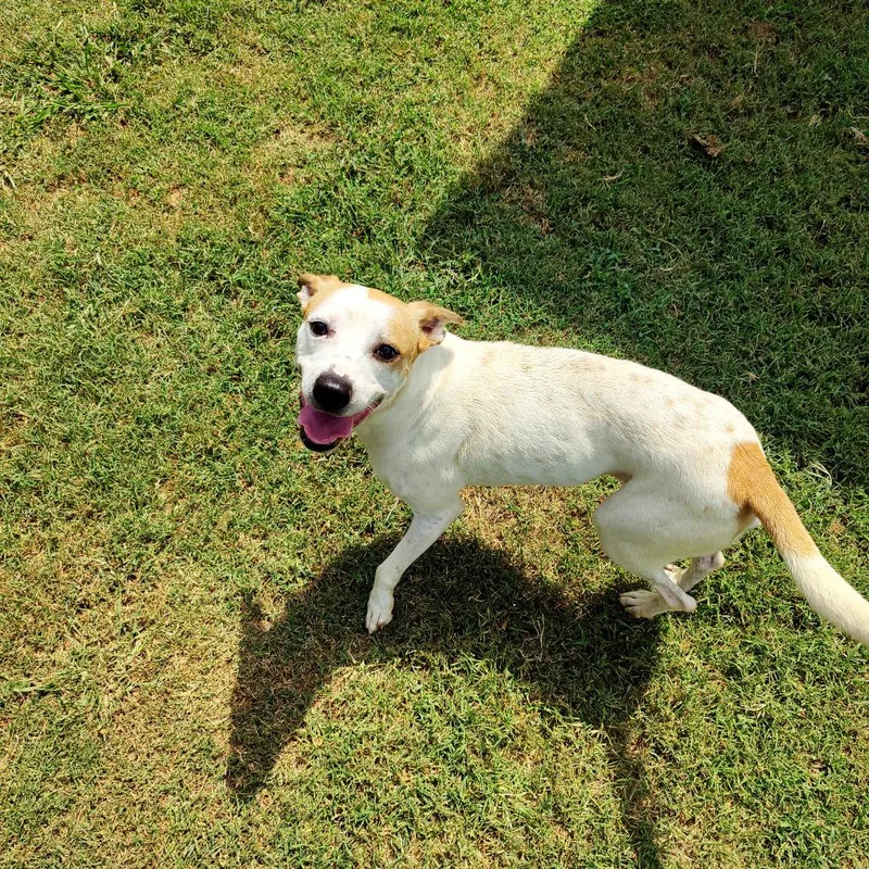 Buster thumbnail 2